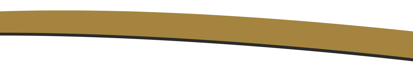 Section Break Design